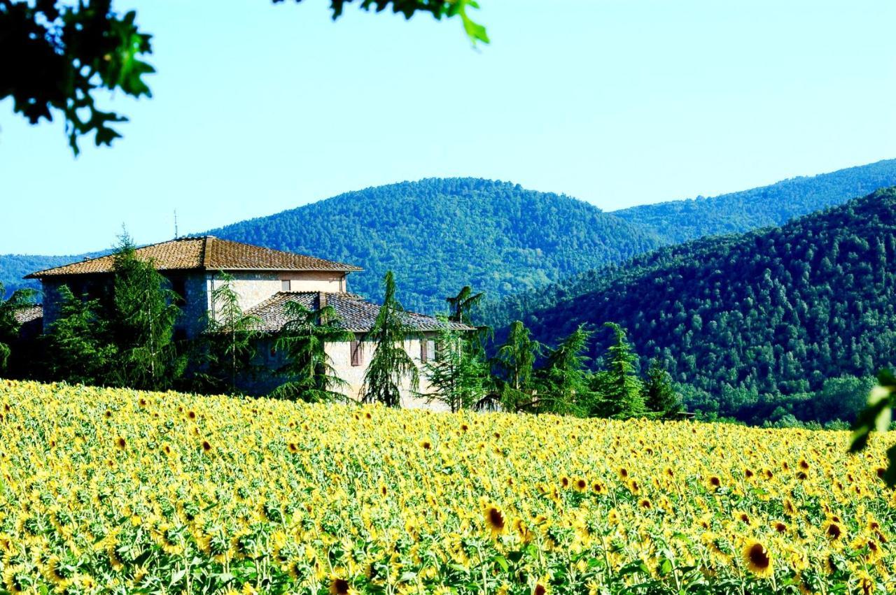 Agriturismo Montioni Sovicille Exterior foto